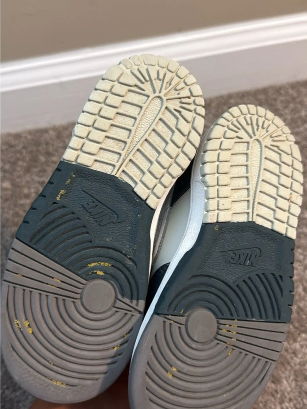 Toddler Nike Dunks